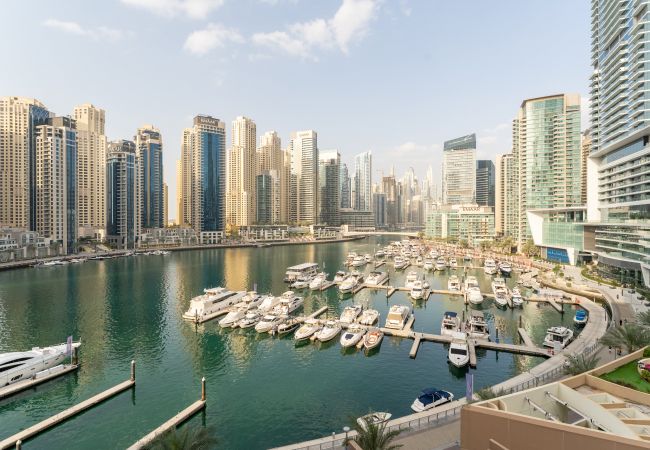  на Dubai - полный вид на пристань для яхт | Яркие | Уютный